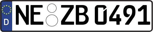 NE-ZB0491