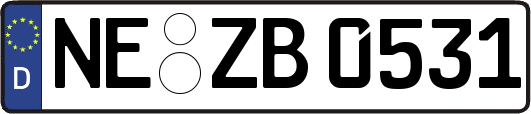 NE-ZB0531