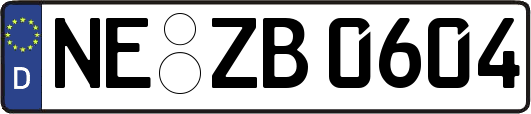 NE-ZB0604