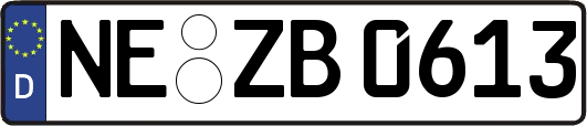 NE-ZB0613
