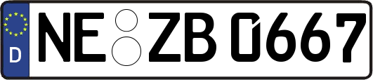 NE-ZB0667