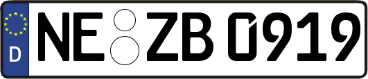 NE-ZB0919