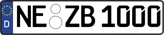 NE-ZB1000
