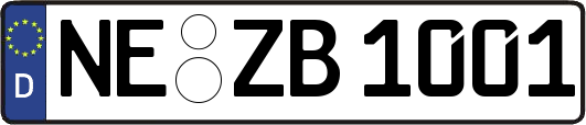 NE-ZB1001