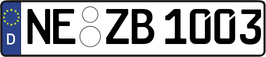 NE-ZB1003
