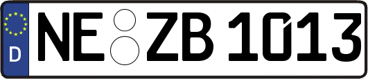 NE-ZB1013