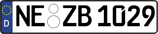 NE-ZB1029