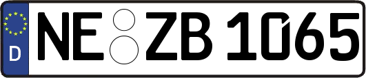 NE-ZB1065