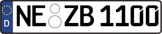 NE-ZB1100