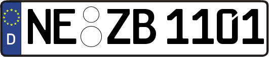 NE-ZB1101