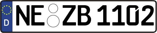 NE-ZB1102