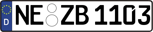 NE-ZB1103