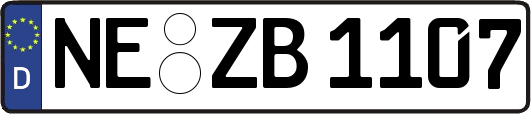 NE-ZB1107
