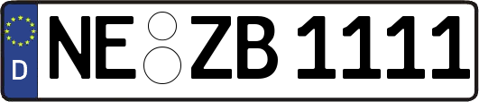 NE-ZB1111