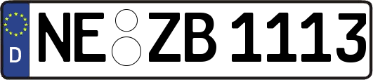 NE-ZB1113