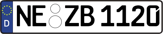 NE-ZB1120