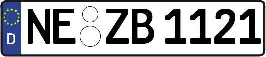 NE-ZB1121