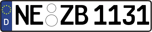 NE-ZB1131