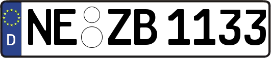 NE-ZB1133