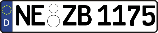 NE-ZB1175