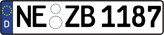 NE-ZB1187