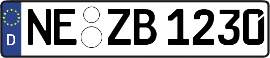 NE-ZB1230