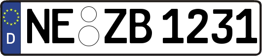 NE-ZB1231