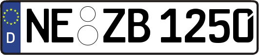 NE-ZB1250