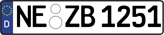 NE-ZB1251