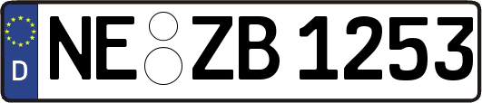 NE-ZB1253