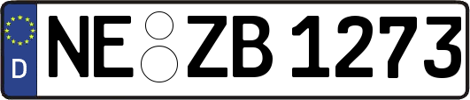 NE-ZB1273
