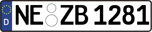 NE-ZB1281