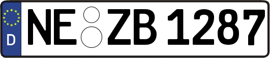 NE-ZB1287