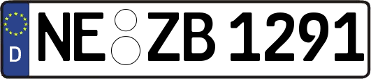 NE-ZB1291