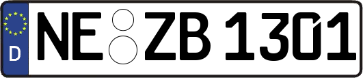 NE-ZB1301