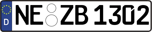NE-ZB1302