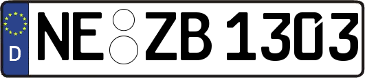 NE-ZB1303