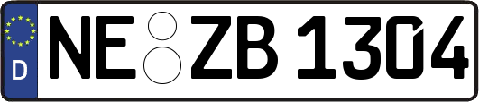 NE-ZB1304