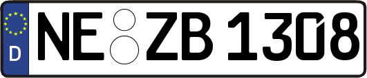 NE-ZB1308