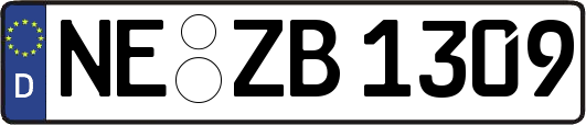 NE-ZB1309