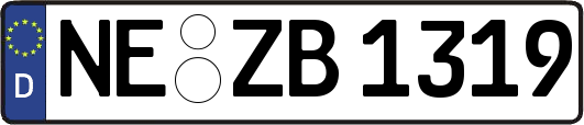 NE-ZB1319