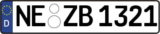 NE-ZB1321