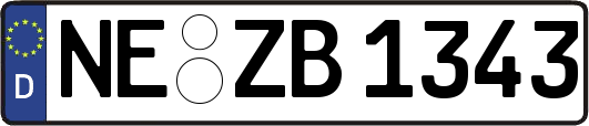 NE-ZB1343