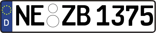 NE-ZB1375