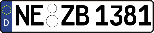 NE-ZB1381