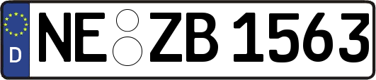 NE-ZB1563