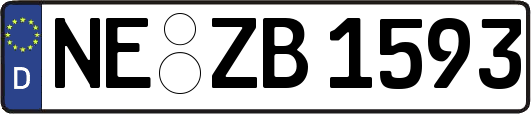 NE-ZB1593