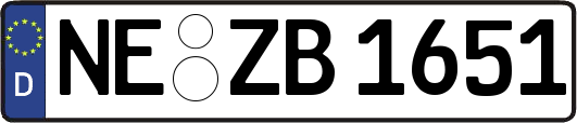 NE-ZB1651