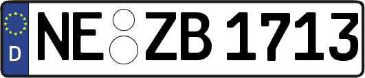 NE-ZB1713