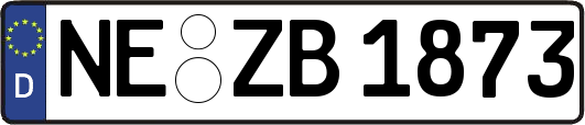 NE-ZB1873